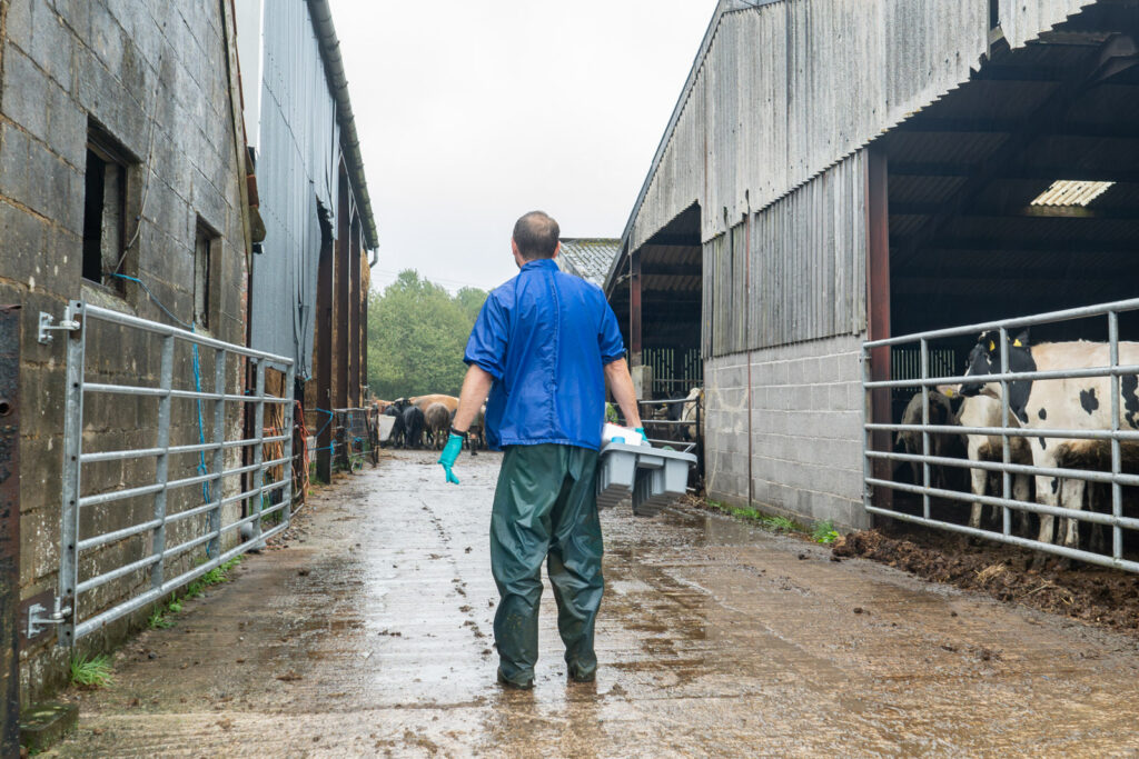 Frome Farm (Web) 046